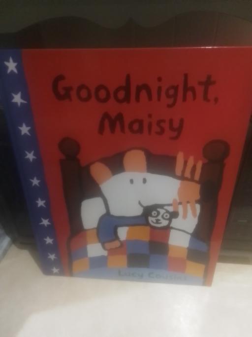 Buy & Sell Streetly Walsall - Photos for BRAND NEW LARGE BOOK GOODNIGHT MAISY