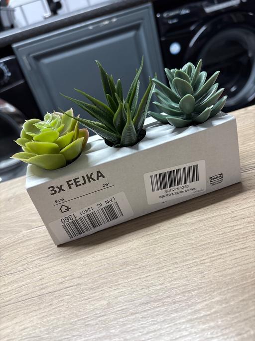 Buy & Sell Duckmanton Chesterfield - Photos for IKEA pack of 3 artificial plants