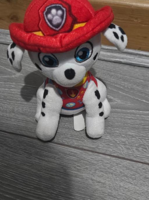 Buy & Sell Small Heath Birmingham - Photos for paw patrol teddy