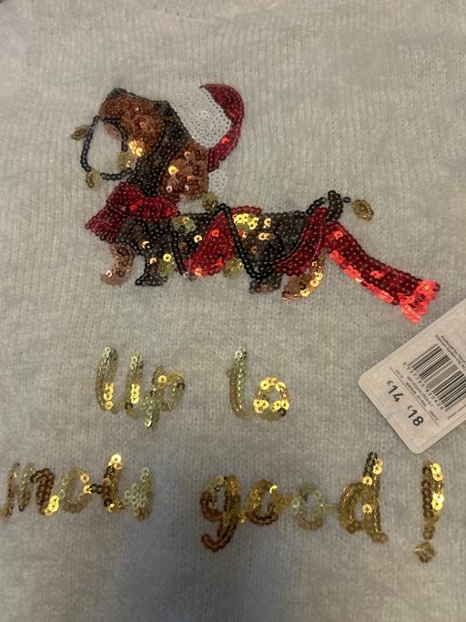 Buy & Sell Broadgreen Knowsley - Photos for Xmas sausage dog jumper. Age 6-7. F& F New
