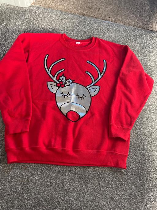 Buy & Sell Wickersley Rotherham - Photos for Ladies Christmas jumper size 12