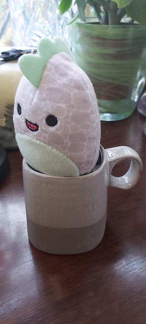 Buy & Sell Asfordby Hill Melton - Photos for New Squishmallows TM