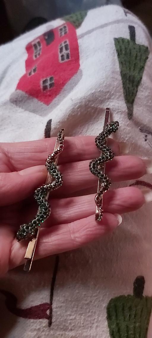 Buy & Sell Asfordby Valley Melton - Photos for large 🐍 snake crystal hair grips x 2
