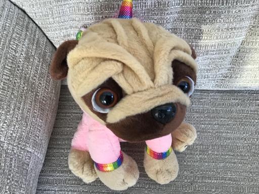 Buy & Sell Essington Wolverhampton - Photos for Pugsley dog