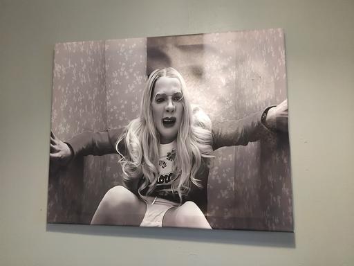 Buy & Sell Netherton Dudley - Photos for white chick's toilet canvas