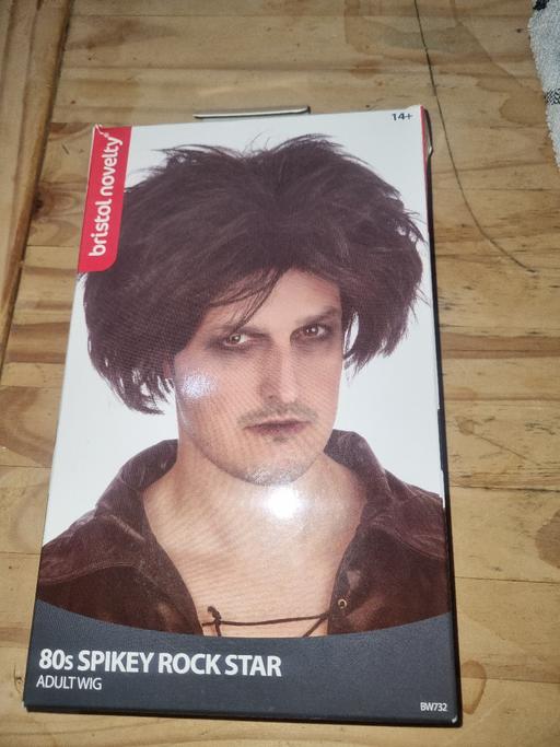 Buy & Sell Bournville Birmingham - Photos for 1980s Rockstar Wig