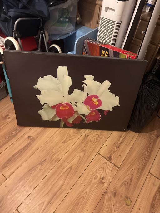 Buy & Sell Strood Medway - Kent - Photos for CANVAS PICTURE LARGE