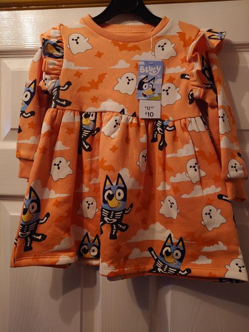 Buy & Sell Woodthorpe Charnwood - Photos for Girls bluey dress size 2-3 years