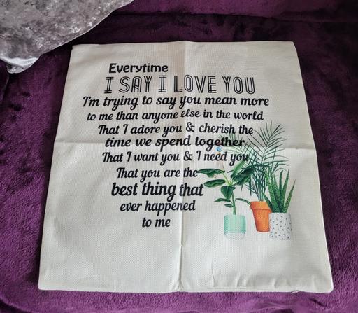 Buy & Sell Wednesfield Wolverhampton - Photos for Everytime I SAY I LOVE YOU Cushion Cover.