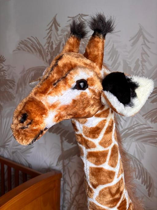 Buy & Sell Caego Wrexham - Wales - Photos for Large Giraffe plush