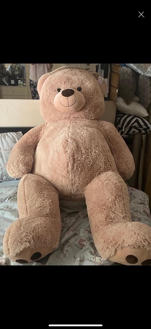 Buy & Sell Sparkhill Birmingham - Photos for Gigantic Teddy Brand New and Tagged