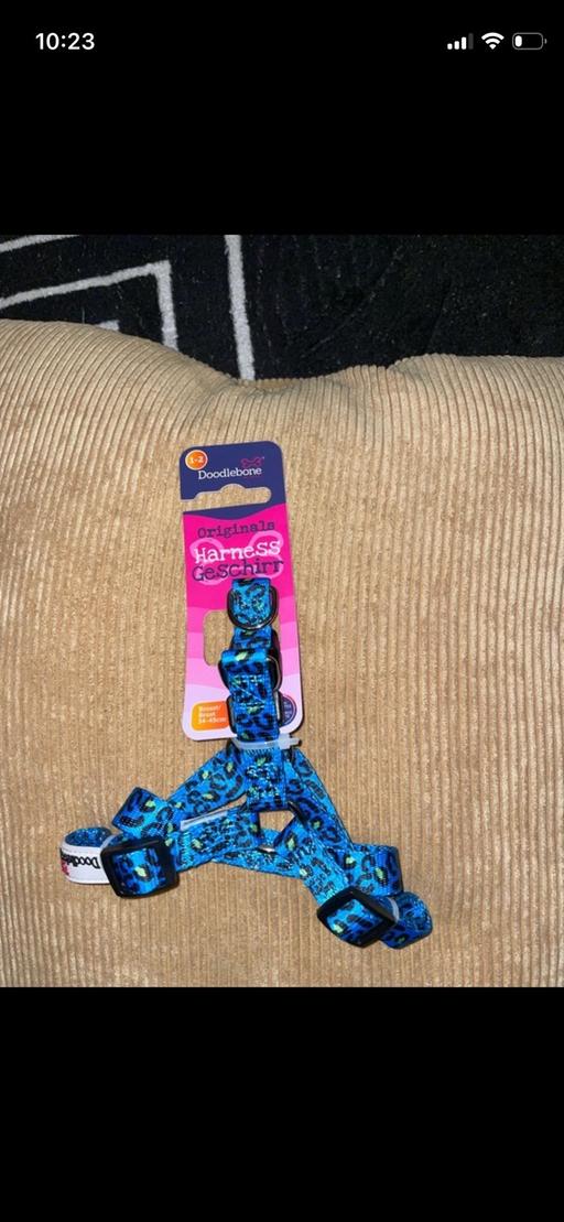 Buy & Sell Maypole Birmingham - Photos for New Dogs Doodlebone Harness