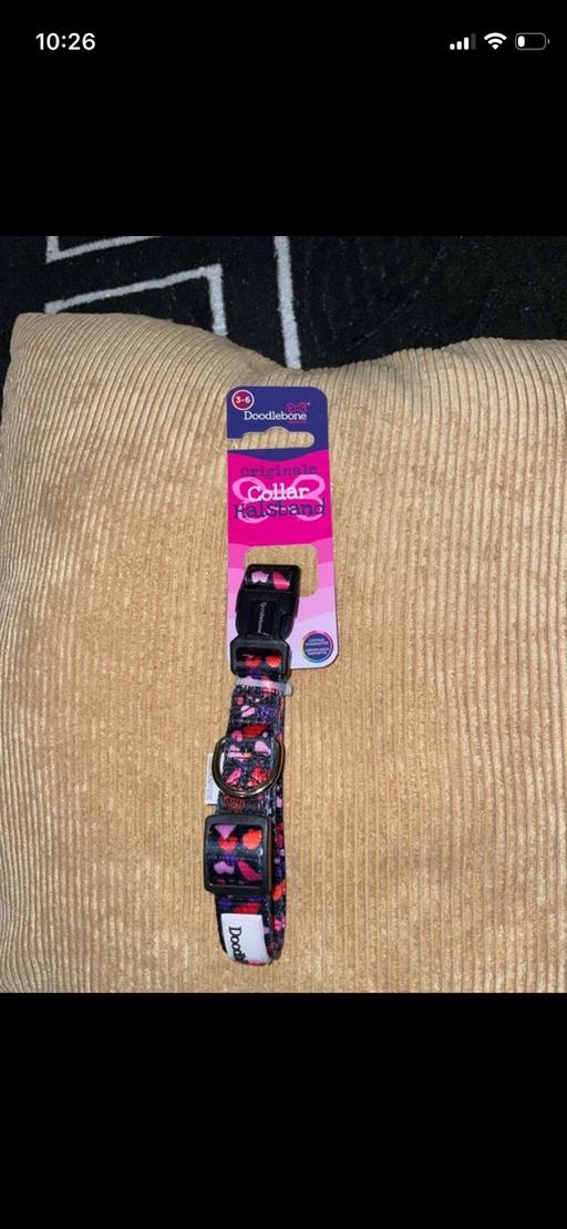 Buy & Sell Maypole Birmingham - Photos for New Dogs Doodlebone Collar