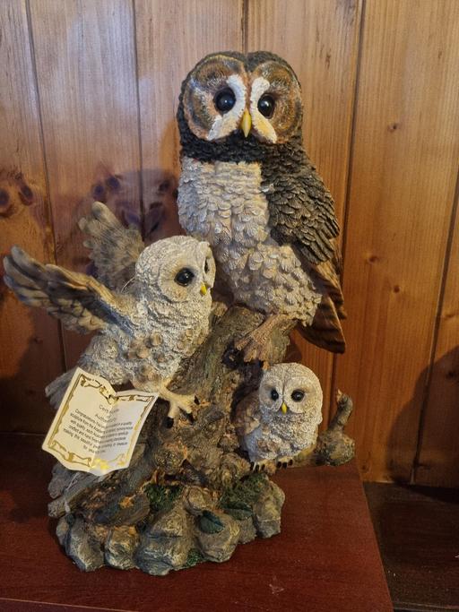 Buy & Sell Audnam Dudley - Photos for 2 big resin owls from the ACADEMY COLLECTION