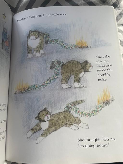 Buy & Sell Ynysddu Caerphilly - Wales - Photos for Mogs Christmas calamity book