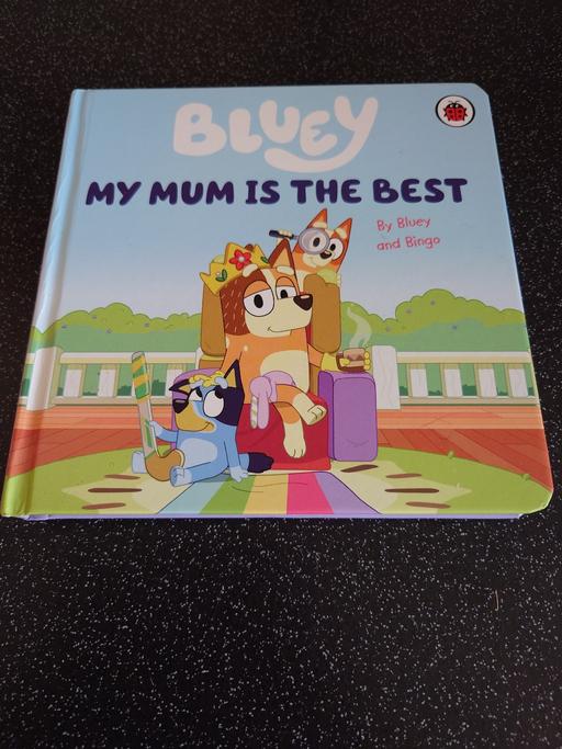 Buy & Sell Woodthorpe Charnwood - Photos for Bluey - my mum is the best BOOK