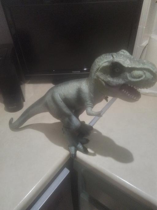 Buy & Sell Streetly Walsall - Photos for LARGE DINASAUR