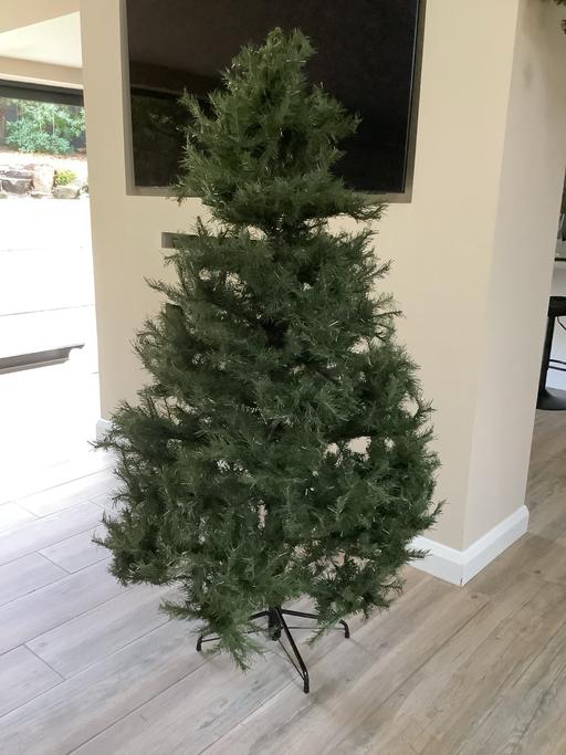 Buy & Sell Bradshaw Bolton - Photos for 6FT Christmas tree from next