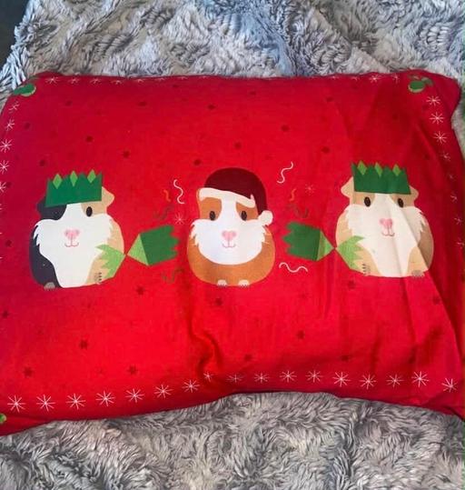 Buy & Sell Bilston Wolverhampton - Photos for Cushion