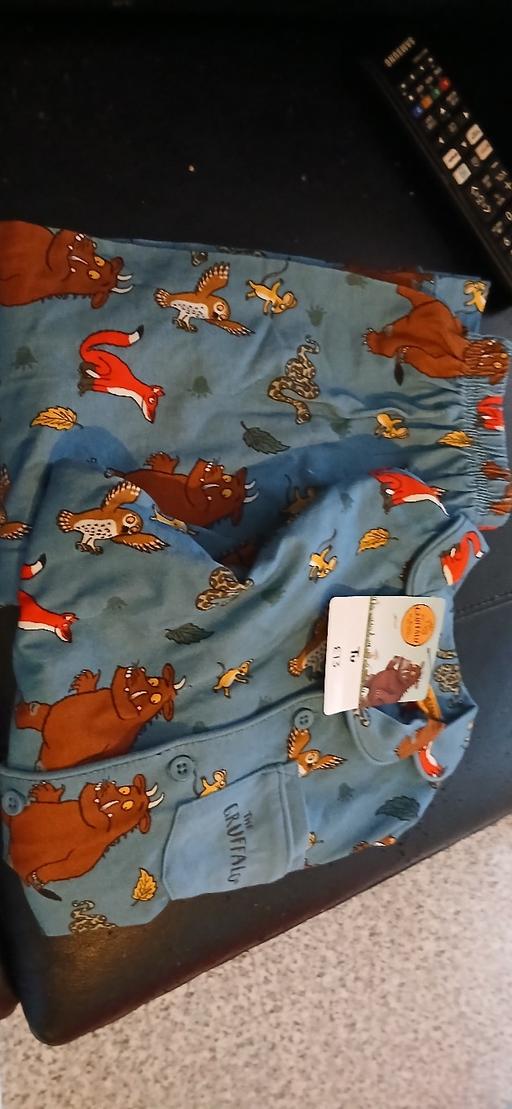 Buy & Sell Clapham Junction South West London - Photos for gruffalo pjs