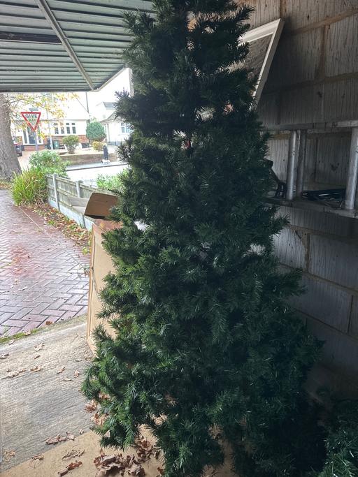 Buy & Sell Billericay Basildon - Photos for Christmas tree