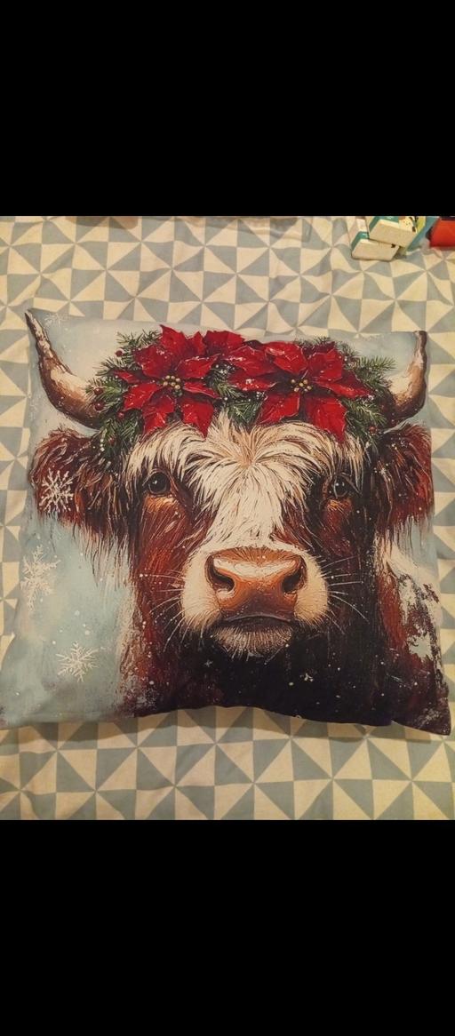 Buy & Sell Parkgate Rotherham - Photos for cushion