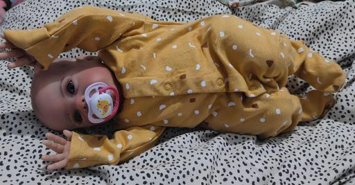 Buy & Sell Pwllheli Gwynedd - Photos for Gorgeous Reborn Doll
