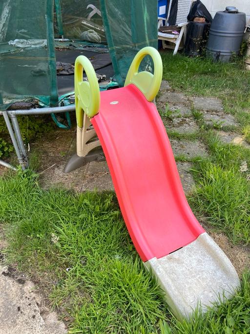Buy & Sell Pear Tree Derby - Photos for Garden slide