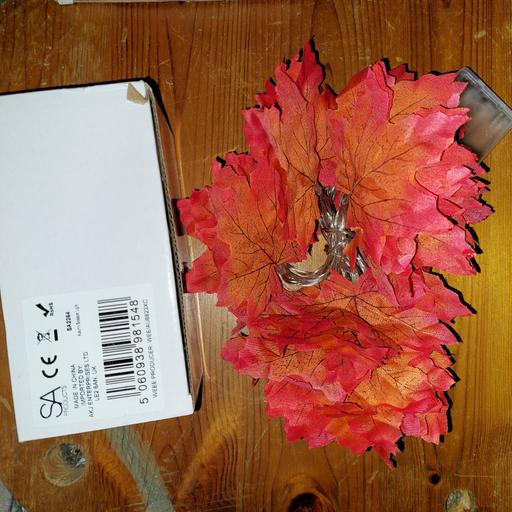 Buy & Sell Ocker Hill Sandwell - Photos for string Lights Autumn Blossom Lights