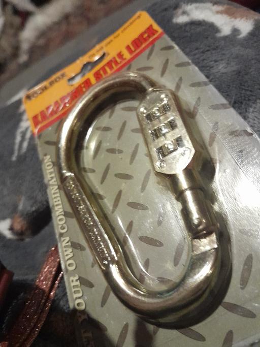 Buy & Sell Netherton Dudley - Photos for karabiner style lock