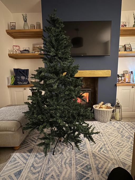 Buy & Sell Great Plumpton Fylde - Photos for Christmas Tree