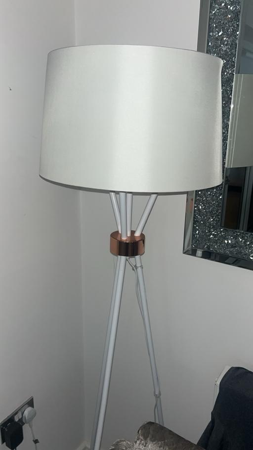 Buy & Sell Waterloo Central London - Photos for Stand up lamp