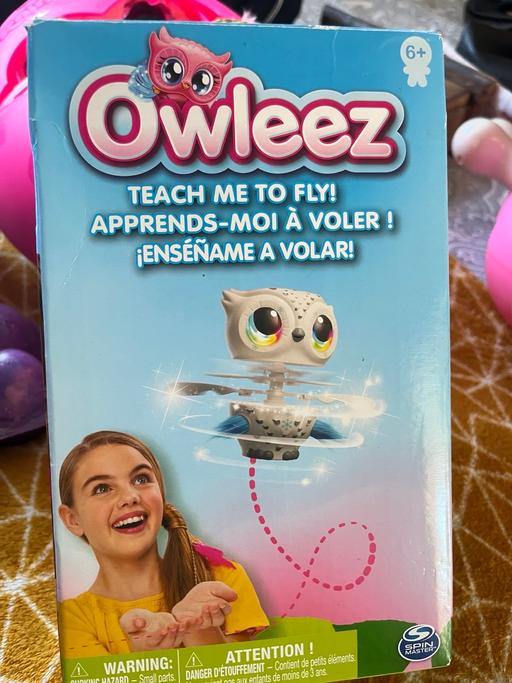 Buy & Sell Brighton Brighton - Photos for Owleez flying owl