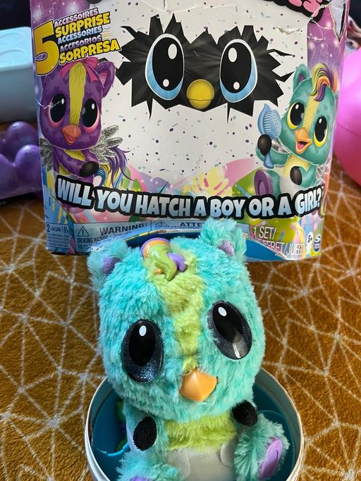 Buy & Sell Brighton Brighton - Photos for Hatchimal
