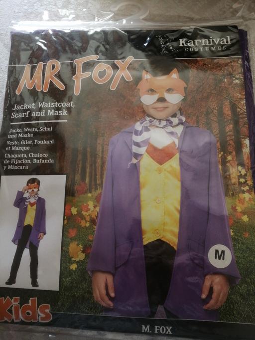 Buy & Sell Moseley Village Wolverhampton - Photos for New age 5 to 6 Mr. fox dress up