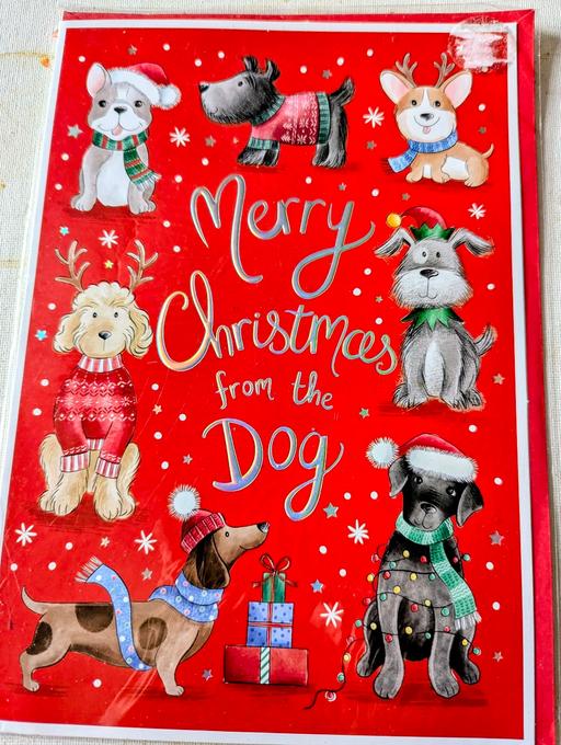 Buy & Sell Georgetown Blaenau Gwent - Photos for 🎄 A medium merry Christmas from dog christma