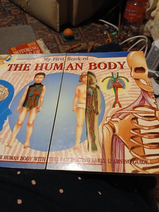 Buy & Sell Netherton Dudley - Photos for the human body children