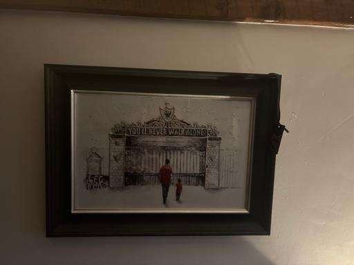 Buy & Sell Mountain Bradford - Photos for Liverpool picture