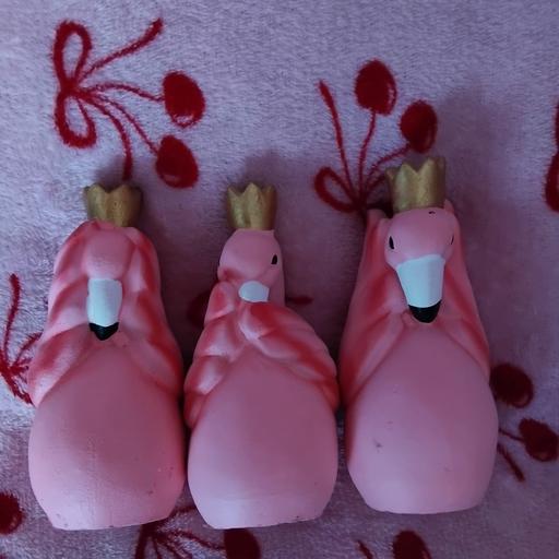 Buy & Sell Kings Norton Birmingham - Photos for flamingos