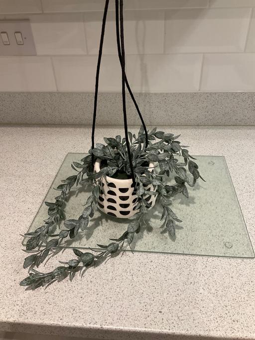 Buy & Sell Telford Way Industrial Estate North Northamptonshire - Photos for Next artificial hanging plant