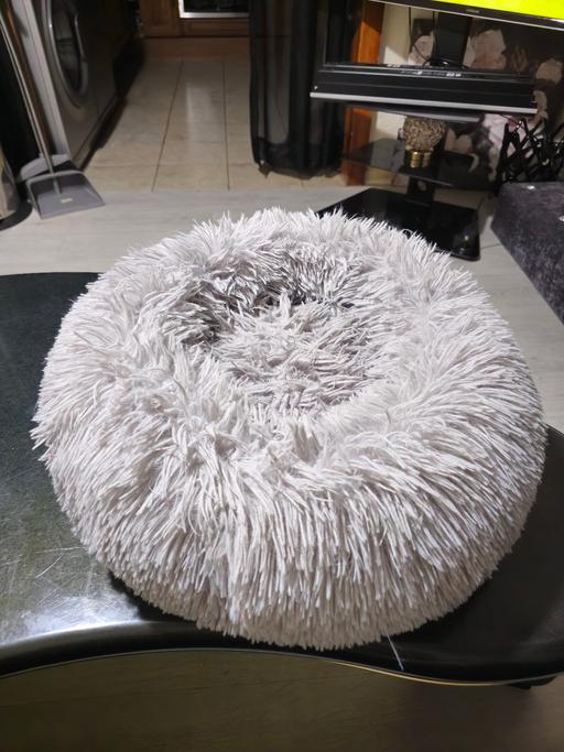 Buy & Sell Cranford Hounslow - Photos for cat bed
