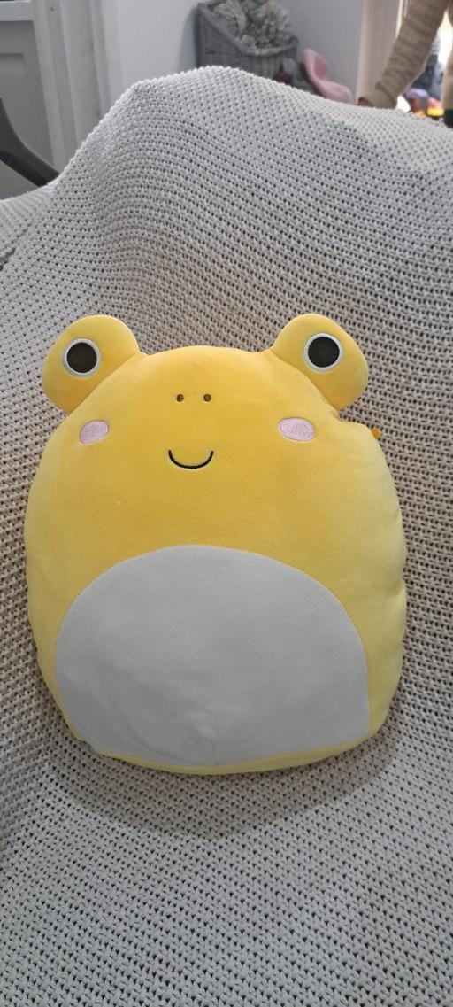 Buy & Sell Sutton Coldfield Birmingham - Photos for Squishmallow