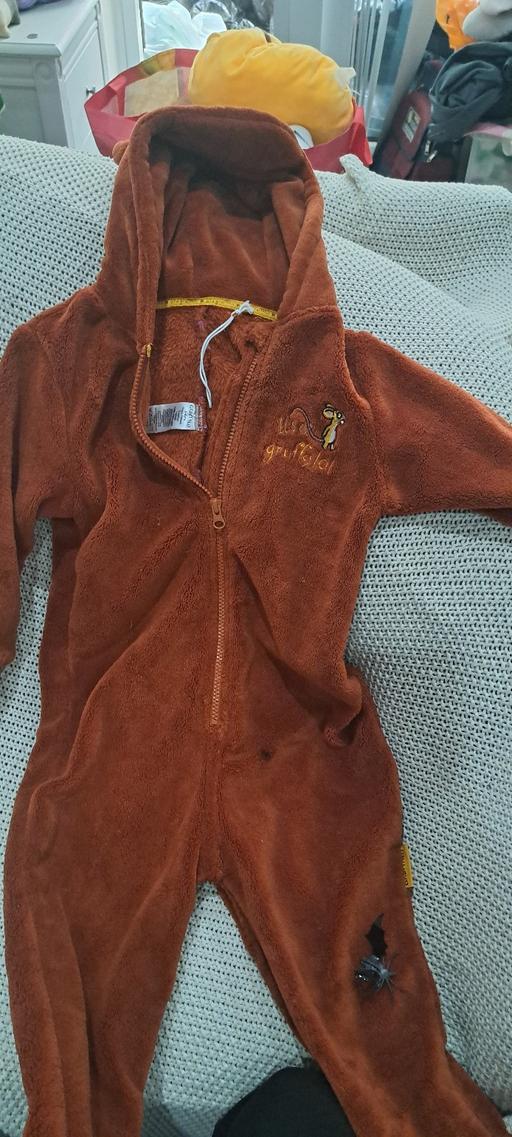 Buy & Sell Sutton Coldfield Birmingham - Photos for Gruffalo onsie age 3-4