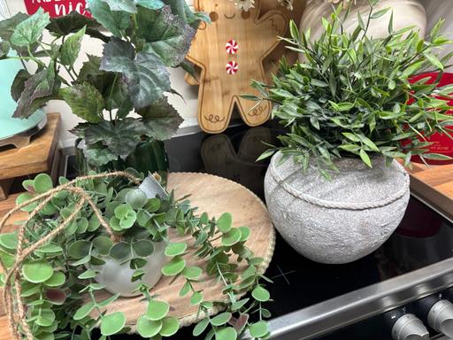 Buy & Sell Bartley Green Birmingham - Photos for Bundle of artificial plants