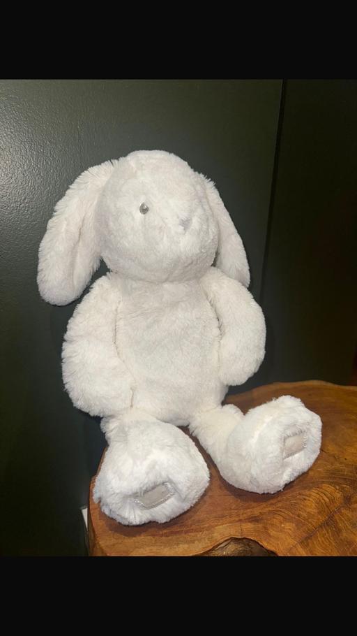 Buy & Sell Turnford Broxbourne - Photos for SOFT TOY