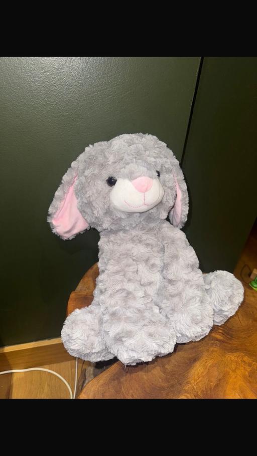 Buy & Sell Cheshunt Broxbourne - Photos for SOFT TOY