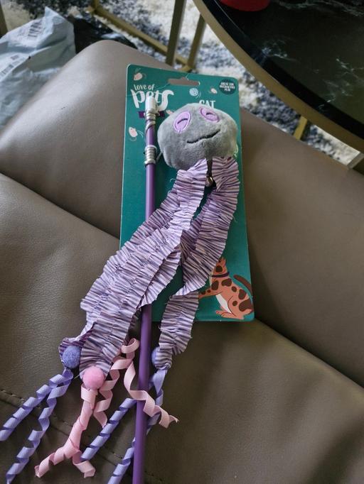 Buy & Sell Greasbrough Rotherham - Photos for cat toy