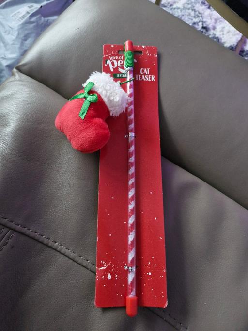 Buy & Sell Greasbrough Rotherham - Photos for cat toy