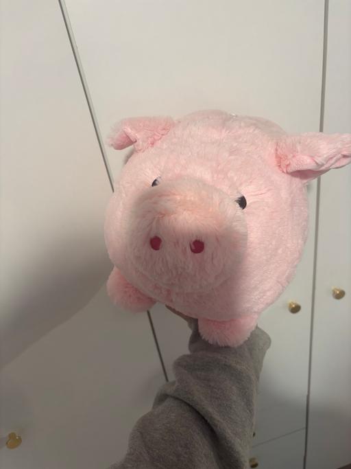 Buy & Sell Hessle East Riding of Yorkshire - Photos for Big Fluffy Piggy Bank