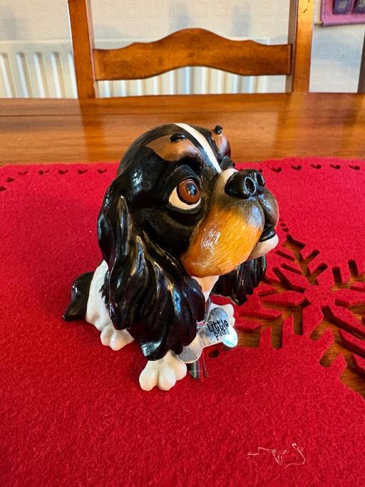 Buy & Sell East Malling Tonbridge and Malling - Photos for Little paws dog